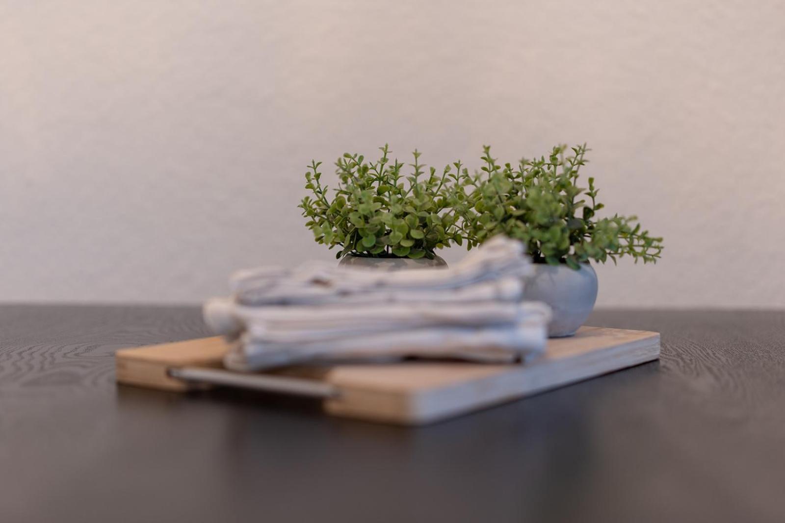 Apartmenthaus Meissen Extérieur photo